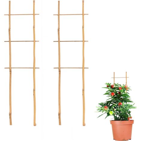 QAZQA Lot de 6 treillis en bambou de 43 cm de haut en forme d'échelle pour plantes grimpantes, plantes d'intérieur, pots, vignes, légumes, fruits 6 Pack