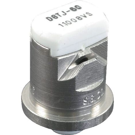 Ugello a ventaglio piatto doppio DGTJ 110° 08 bianco acciaio inossidabile TeeJet TEEJET DGTJ6011008VS