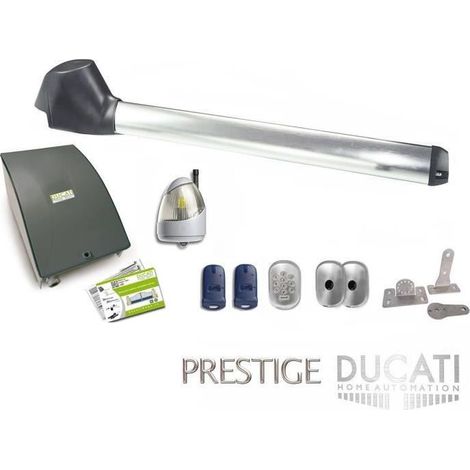 Mono Swing Gate Décapsuleur Ducati Evo748fc Mono, 12 V DC Moteur équipé, avec Intégré mécanique limites, fabriqué en Italie