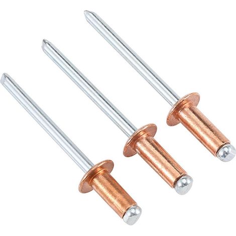 30 Pièces Rivets Aveugles, 2,4X6mm Rivets Pop à Capuchon Cuivre Noyau Fer (1/5)