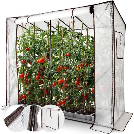 Arebos – Serre à tomates 200 x 77 x 170 cm – Film polyéthylène résistant aux UV – Aération optimale avec fenêtres – Construction stable avec tubes renforcés