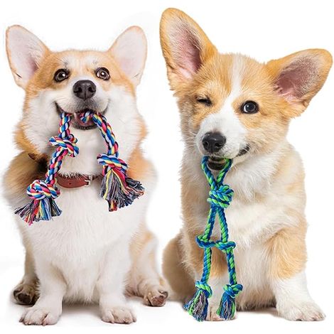 Puppy Teething Toy, Cotton Teething Toys for Teeth, Interactive Rope Pull Toy for All Small Breed Puppies (1/5)