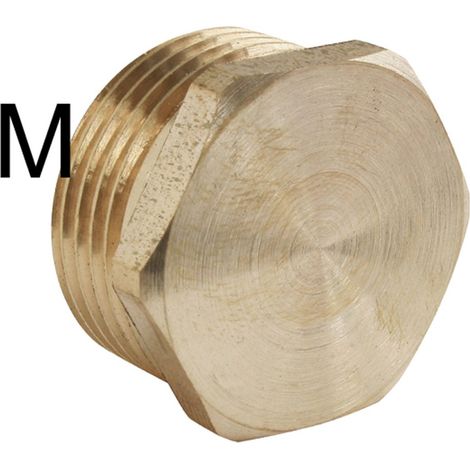 Bouchon en Laiton F290 Fileté Mâle 1" - Acier