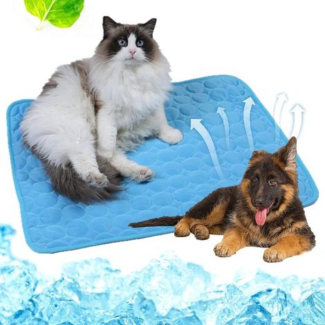 Kühlmatte für Hunde – 70 x 55 cm – Kein Stromanschluss erforderlich – Für Hunde und Katzen – Kühlmatte (1/5)