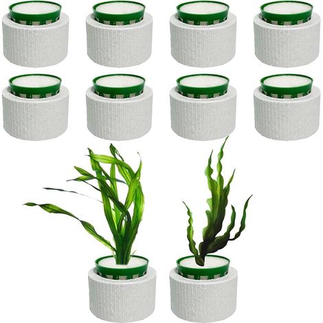 10 Pièces Anneau de Fixation pour Plantes Aquatiques Aquarium Anneaux en Céramique Anti Flottantes Anneaux Fixes pour Accessoires Fish Tank (1/4)