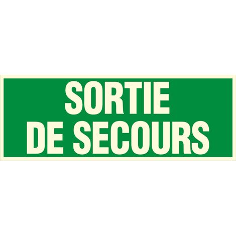 Panneau photoluminescent Sortie de secours - Rigide 330x120mm - 4149073