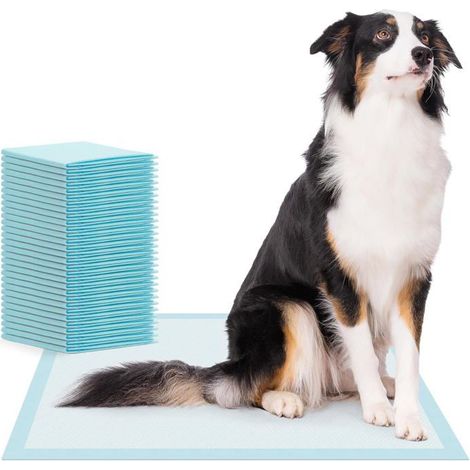 30X Tapis Éducateurs Pour Chiots 60X90Cm,Alèses Absorbantes À 5 Couches,Tapis Hygiéniques Anti-Fuite Pour Éducation À La Pro[IN58] (1/5)