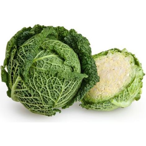 Semi di Cavolo Verza tardivo delle virtù 2 piante per orto e giardino