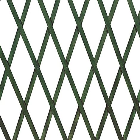 VERDELOOK Traliccio Estensibile Legno Verde 100x200