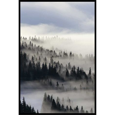 Affiche encadrée forêt de pins dans la brume (1/5)