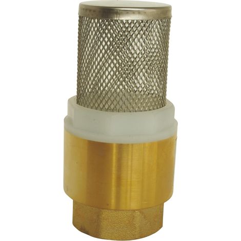 Clapet Anti-Retour Crépine 3/4" - Laiton Inox - Protection Pompe - Eau Mazout - 110°C (1/3)