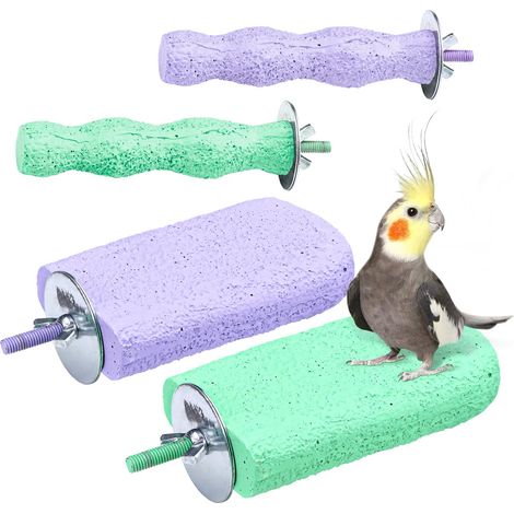 Perchoir en calcium naturel pour perroquet, support en bois naturel brut, perchoirs pour perroquets, accessoires de cage à oiseaux (1/4)