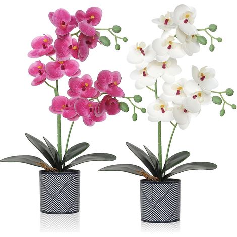 Artificial Orchid Flowers in Pot,2 pack Potted Orchid Plant Fake Phalaenopsis Flowers with Plastic Vase for Table Home Decor Office Wedding Party Decoration : Amazon.co.uk: Home & Kitchen