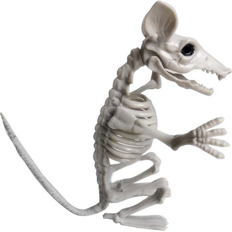 Squelettes d'animaux d'Halloween - Décoration effrayante pour fête (1/5)