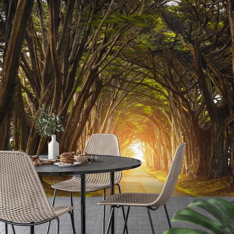 Papier peint panoramique - Chemin Forêt - 260 cm x 173 cm (1/4)