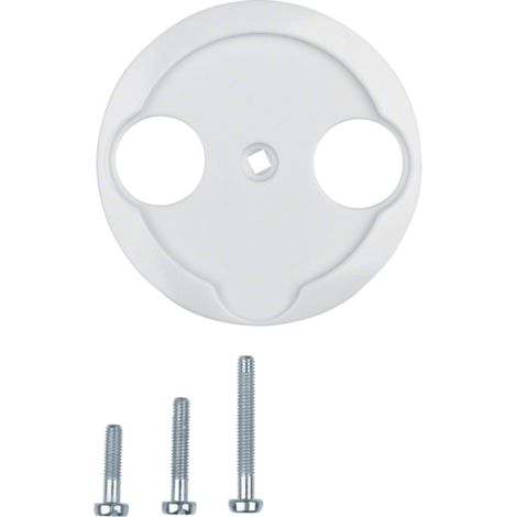 HAGER NOSTALGIA PLAQUE CENTRALE POUR TV-R-SAT BLANC POLAIRE