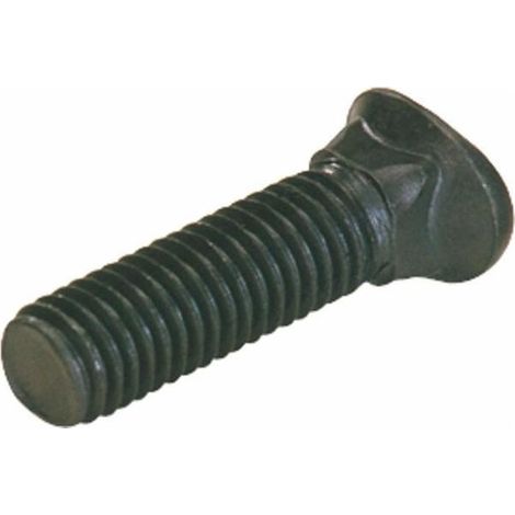 Tornillo ovalado 10x30 con tuerca de seguridad CP1358F (1/3)