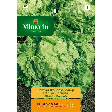 VILMORIN Semillas de LECHUGA BATAVIA PARIS S-1912, 7 g