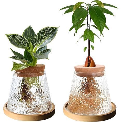 Plant Terrarium, Clear Glass Propagation Station with Wooden Lid and Bamboo Stand for Hydroponic Growing Table Decoration for Home and Office (1/5)