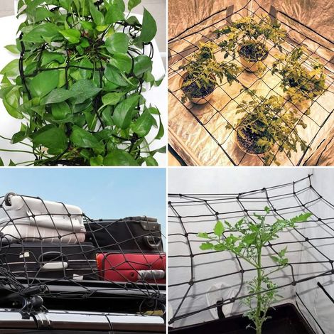 Scrog - Filet de croissance élastique - Pour plantes grimpantes - Avec 4 crochets anti-rouille - Pour légumes, fruits et fleurs - Plage d'étirement de 80 à 200 cm - 80 x 80 cm (1/5)