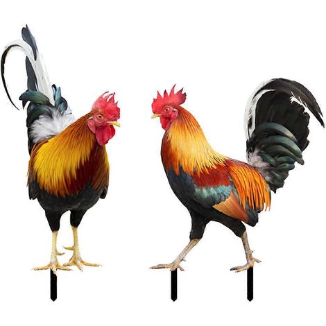 Lot de 2 piquets décoratifs en acrylique en forme de coq pour jardin-10.8X25CM