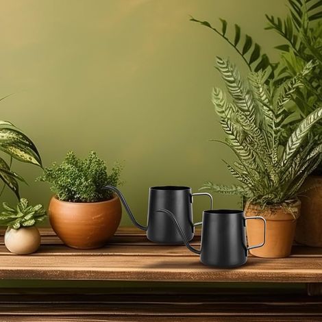 arrosoirs noirs pour petites plantes d'intérieur En acier inoxydable Bec long Arrosoir de jardin succulentes (1/3)