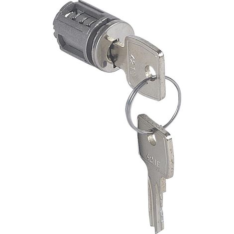 Barillet à clé pour poignée 034771 et 034772 pour armoire Altis pour clé n°421 LEGRAND 034785 (1/2)