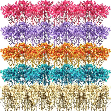 100 Fleurs séchées en 5 Couleurs – Gypsophile Paniculée pour – Gypsophile en Fleuristerie,Floristique, Bricolage,Décoration,Coffrets Cadeaux DIY,Scrapbooking,Bougies,Résine,Bijoux et Loisirs Créatifs (1/5)