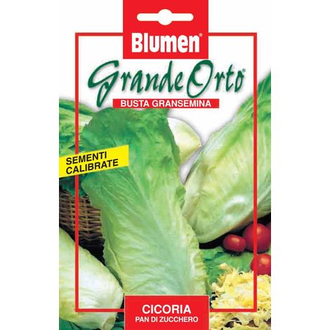 SEMI CICORIA PAN DI ZUCCHERO BLUMEN