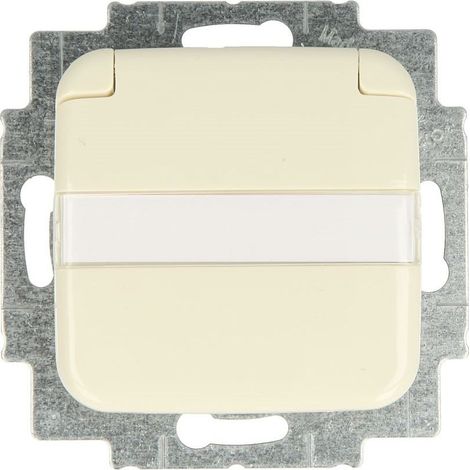 Prise SCHUKO® avec clapet et fenêtre Busch-Duro 2000® SI