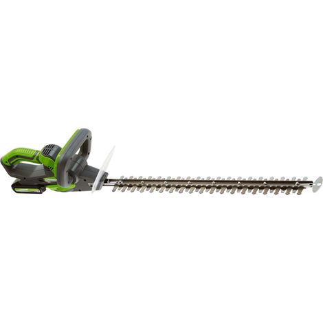 Tagliasiepe a Batteria 20V Rama TS20 Grigio e Verde (1/4)