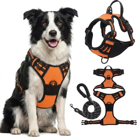 KLVGTIFS PU - Harnais Chien Arnais Orange Anti Traction Réfléchissant Gilet Réglable pour Chien Taille M Attache Devant Crochet de Laisse (1.5M) (1/5)