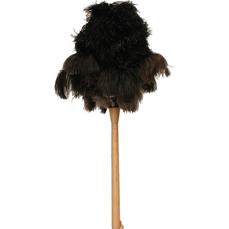 Pulitore professionale con piume di struzzo, manico in legno, 64 cm - Thomas