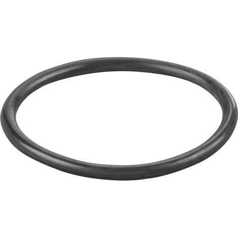 Rems O-Ring 060019
