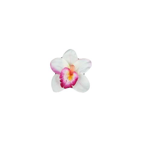 Color crema orquídea satinado y burdeos, 1 unidad.