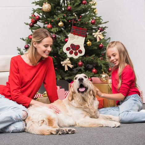 Lot de 2 bas de Noël à motif pattes d'animaux, à suspendre à la cheminée, pour animaux et décoration de Noël (rouge) (1/2)