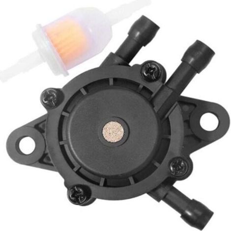 Pompe à Essence pour 17HP-25 Moteur Tondeuse Gazon, Vide avec Filtre Carburant et Stratton (1/4)