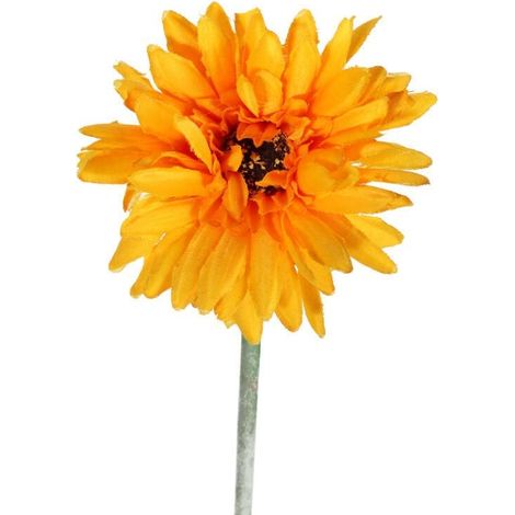 Flor de gerbera de un solo color, naranja claro. (1/3)