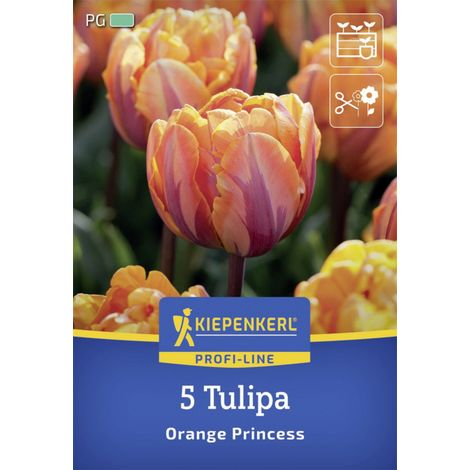 Kiepenkerl Herbstblumenzwiebel Tulpe Orange Princess 5 Stück (1/2)