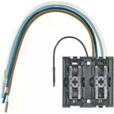 Bticino Cofrel 75454 - COMES AND FITS WITH RADIO RECEIVER 2 AXOLUTE Modules