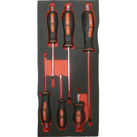 Module de rangement comprenant 6 tournevis électricien (1/4)