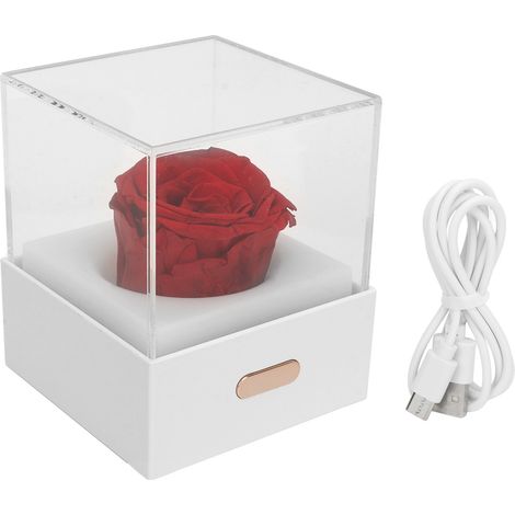 Ortviai Lampe de Nuit en Forme de Rose Rouge – Veilleuse LED USB avec Abat-jour Acrylique Détachable et Batterie Intégrée (1/5)
