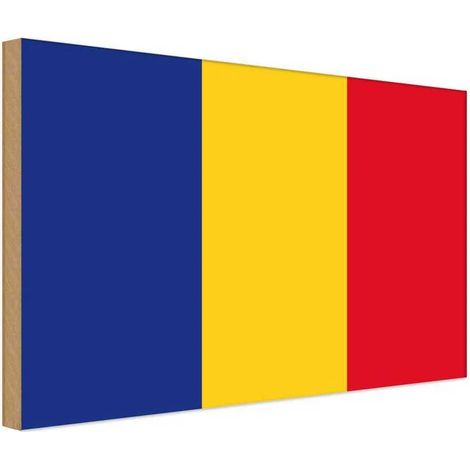 Panneau en bois 30x40 cm, blason de la Roumanie (1/4)