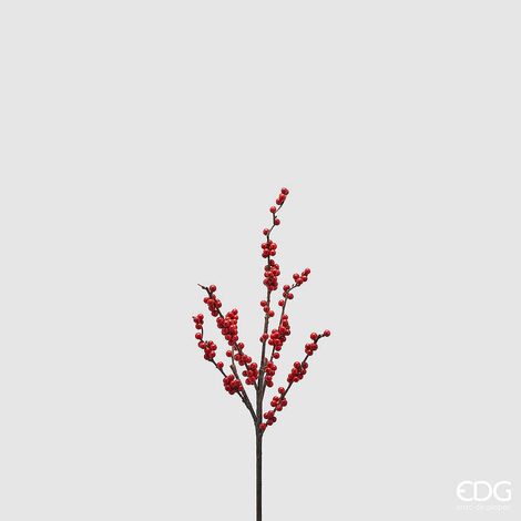 EDG Ilex Ramo L.60 C4