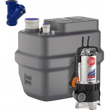 Pedrollo – Station de relevage eaux chargées 100l – Débit 15 m³/h – Hauteur manométrique 10m – Clapet anti-retour inclus - Zxm1a (1/5)