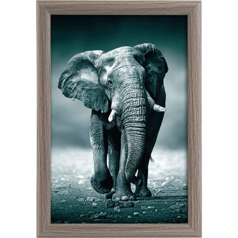 goldbuch 92 0745 Toscana - Cornice portafoto in legno MDF, per foto in formato 20 x 30 cm, con supporto da tavolo e montaggio a parete, colore: grigio (1/4)