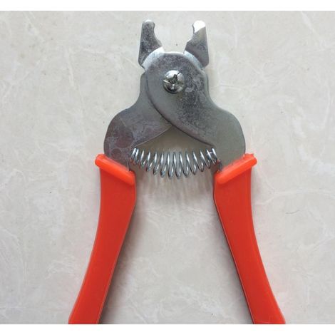 Pince à cage de groupe, pince à ongles lâche, pince à cage, pince à ongles en forme de M, pince à boucle, cage à poulet, cage à lapin, pince à filet d'angle, une pièce (1/5)