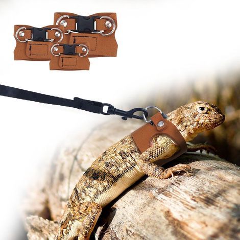 Set of 3 Reptile Harnesses, Adjustable Soft Leather, 2m Retractable Leash, Bearded Dragon Walking Accessory (1/5)