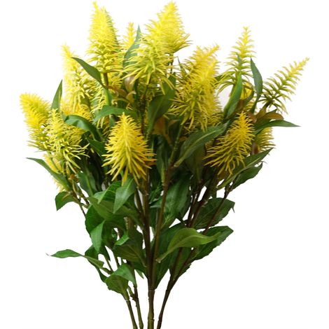Pack of 6 x 55cm Callistemon Pallidus Yellow Bottle Brush Stem (1/5)