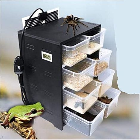 Cabine d'élevage en PVC pour reptiles en hiver avec niches Noir (avec coussin chauffant) (1/5)